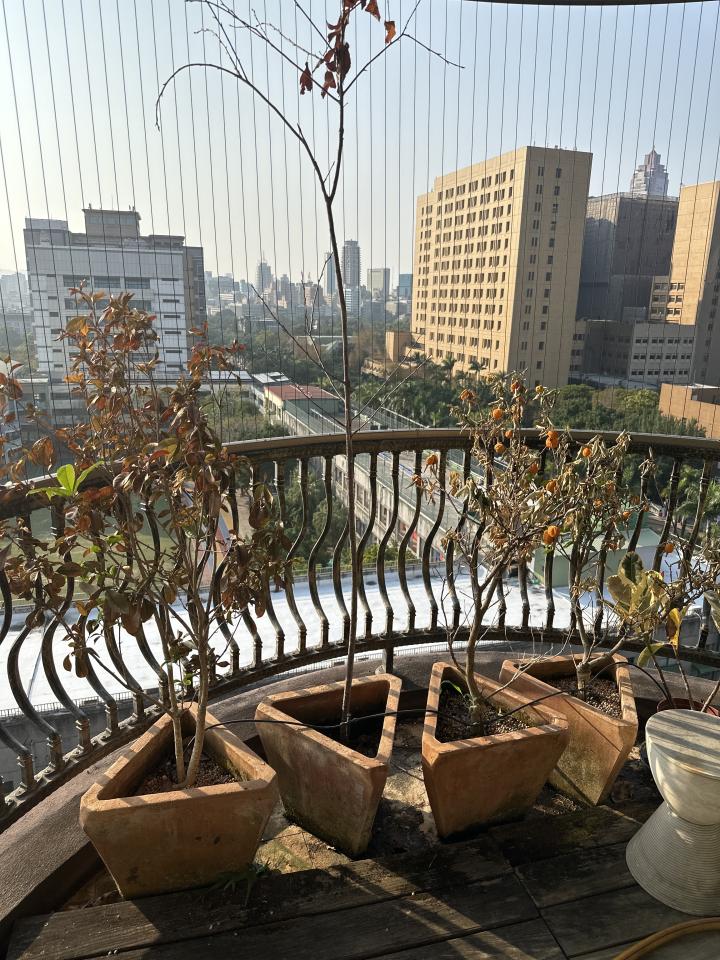 園藝維護案件圖片