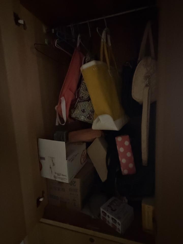 大型垃圾回收案件圖片