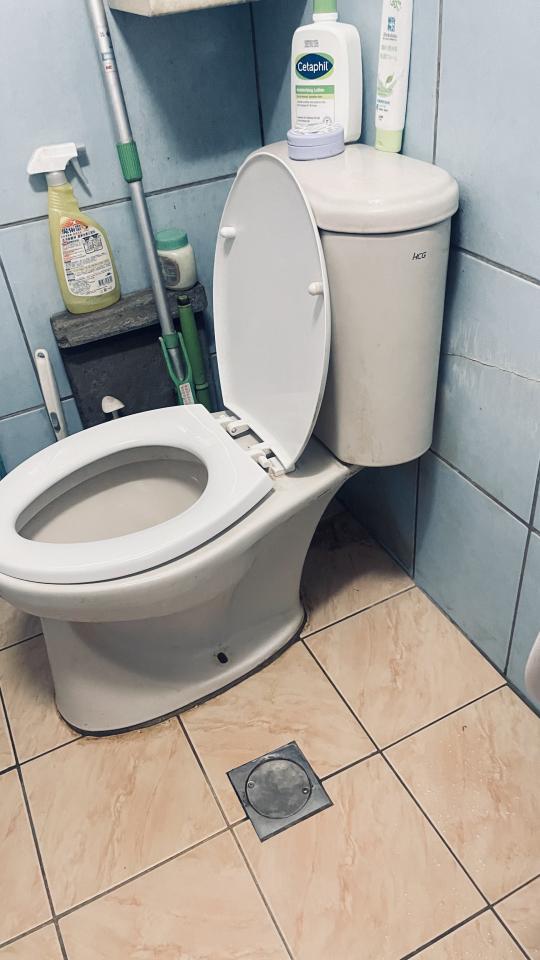 馬桶裝修案件圖片