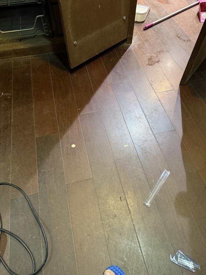 木地板打磨翻新案件圖片