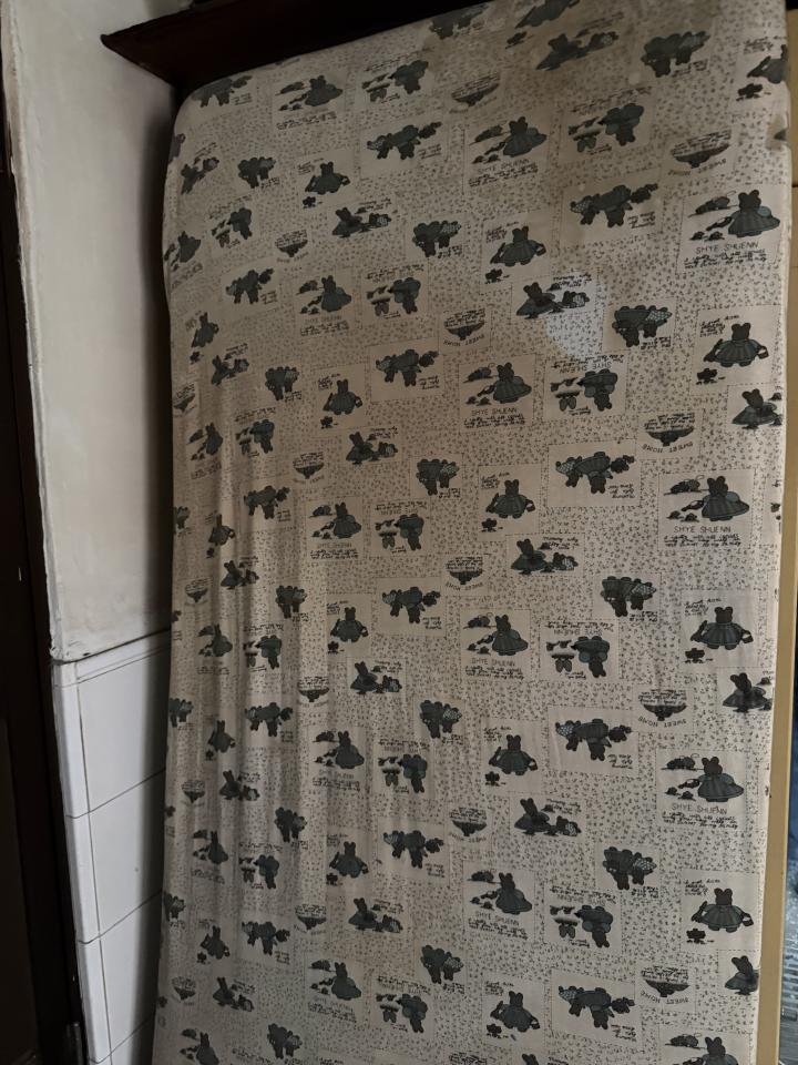 大型垃圾回收案件圖片