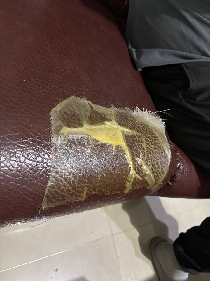 沙發修理案件圖片