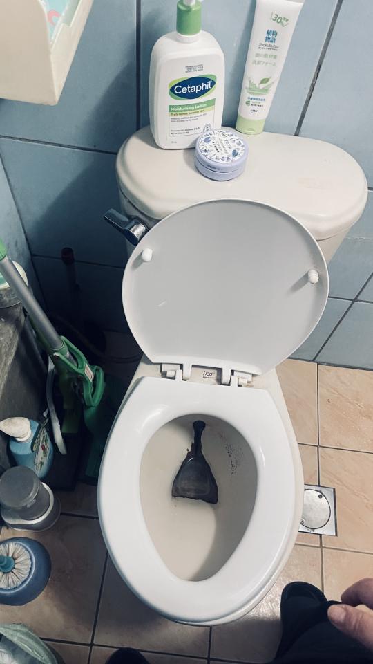 馬桶裝修案件圖片