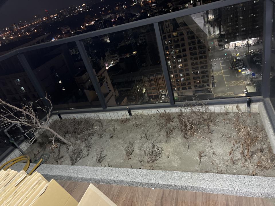 園藝維護案件圖片