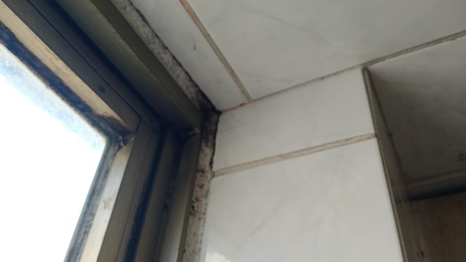 老屋翻新案件圖片