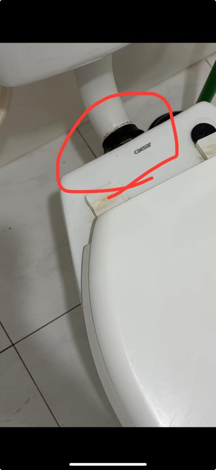 馬桶裝修案件圖片