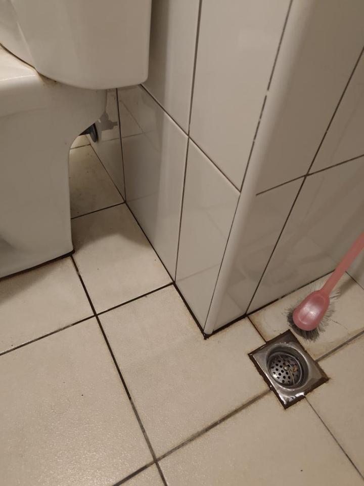 馬桶裝修案件圖片