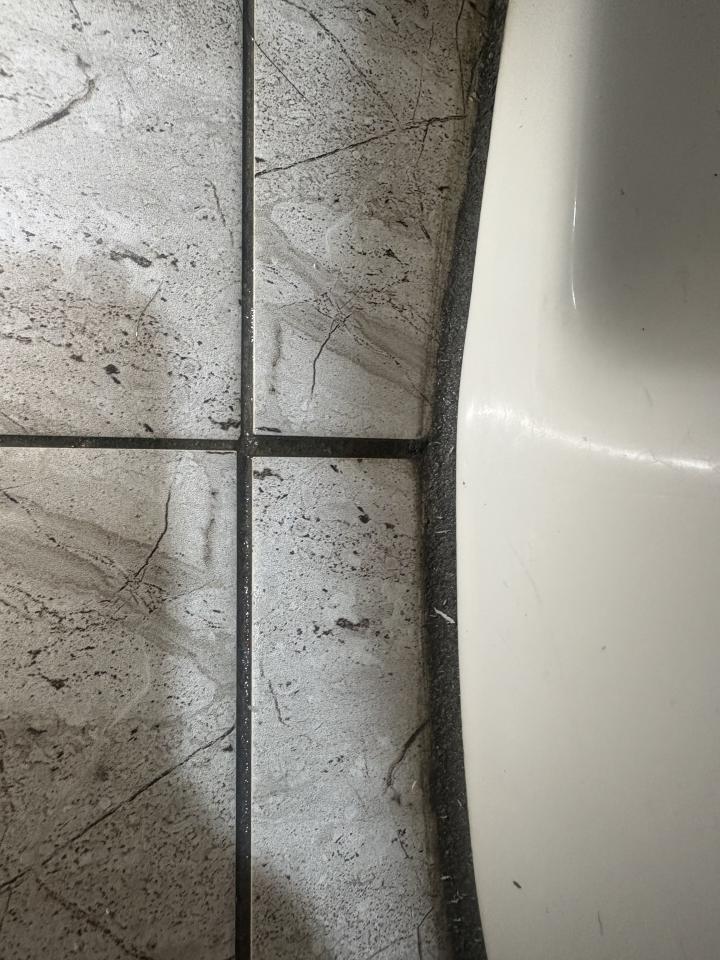 馬桶裝修案件圖片