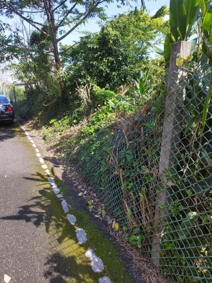 圍籬工程案件圖片