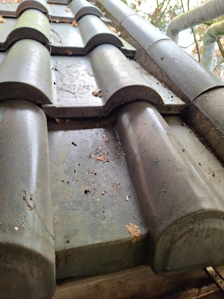 屋瓦翻修案件圖片