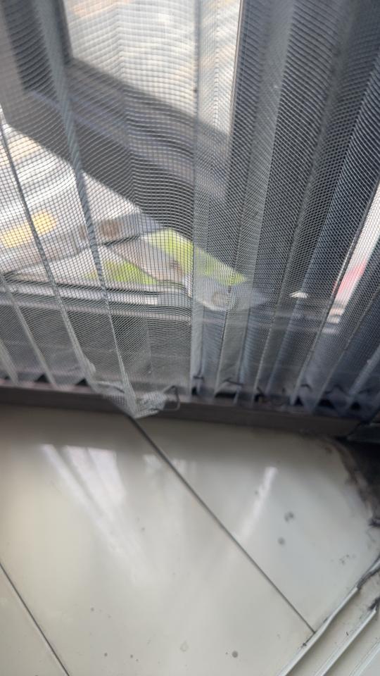 紗窗裝修案件圖片