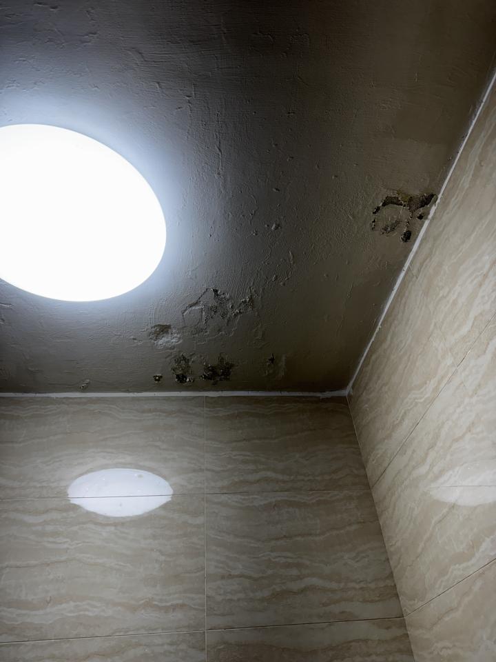 壁癌處理案件圖片