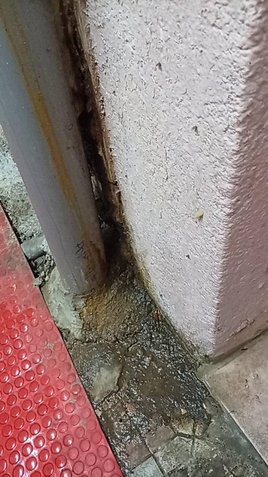 水管維修案件圖片