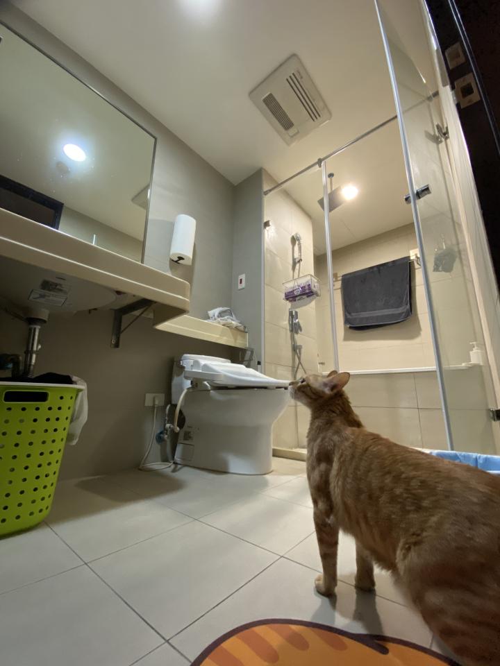 浴室抽風機清潔案件圖片