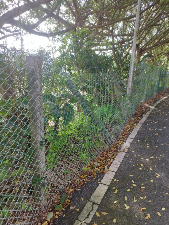 圍籬工程案件圖片