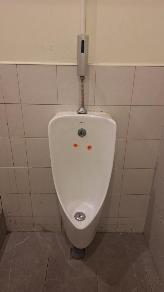 馬桶裝修案件圖片