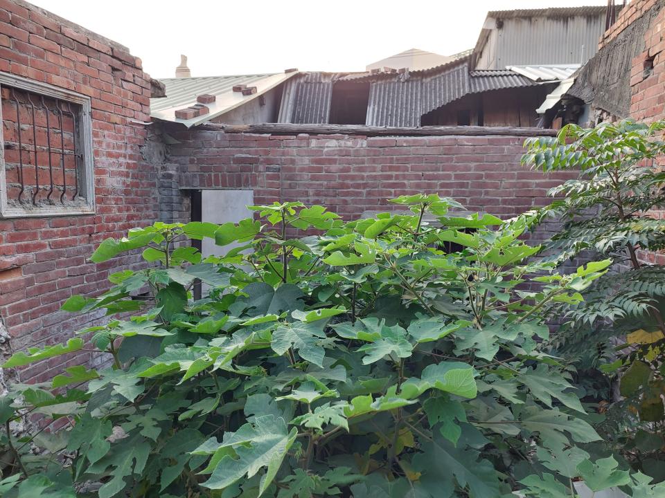 拆除工程案件圖片