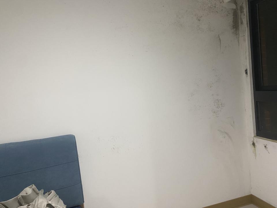 油漆工程案件圖片