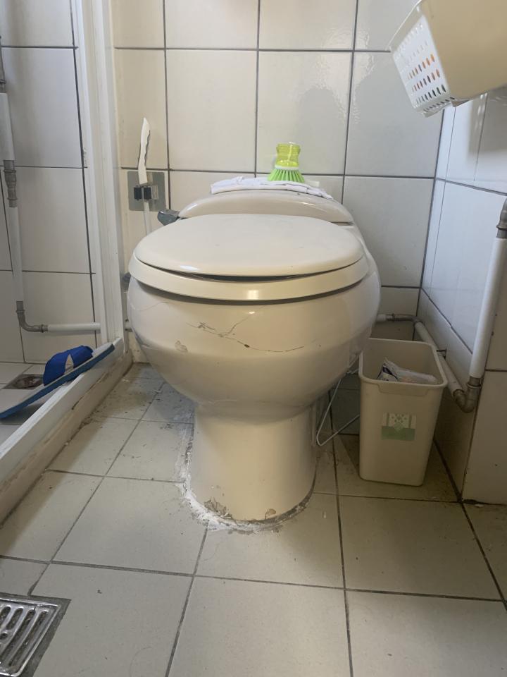 馬桶裝修案件圖片