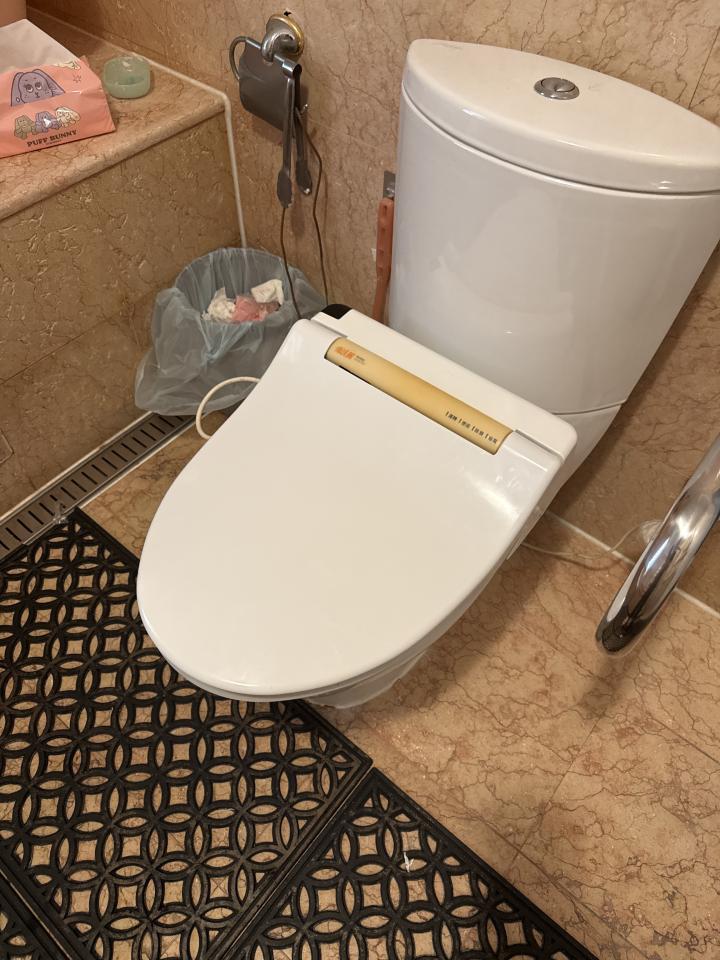 馬桶裝修案件圖片