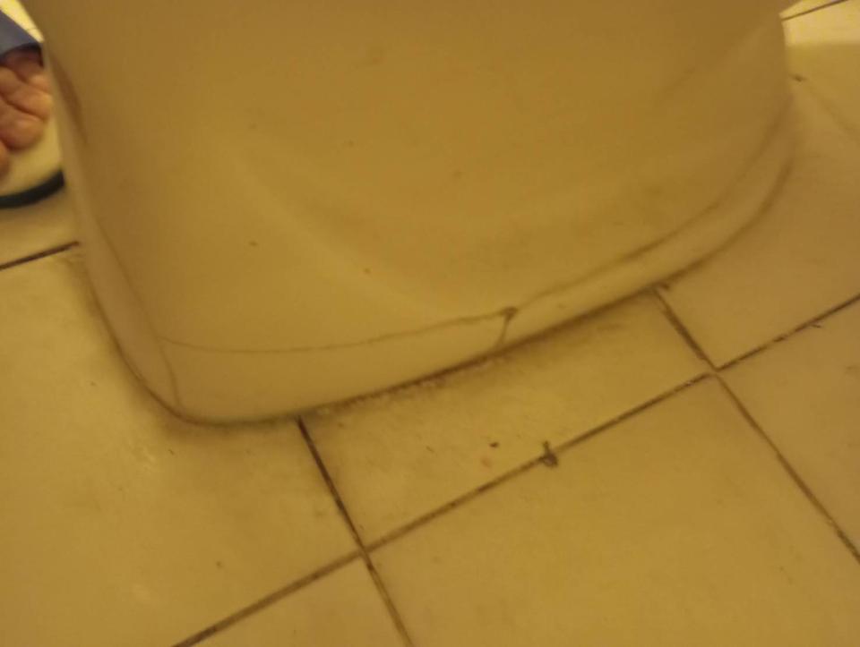 馬桶裝修案件圖片