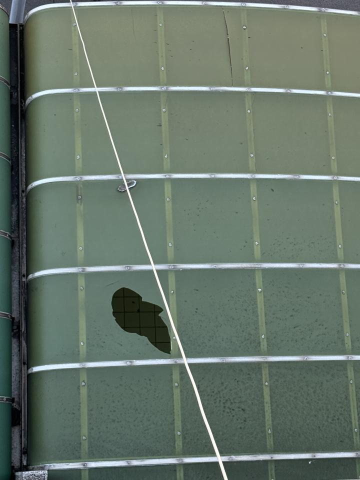 採光罩案件圖片