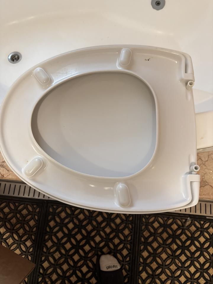 馬桶裝修案件圖片