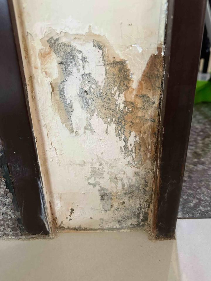 漏水處理案件圖片