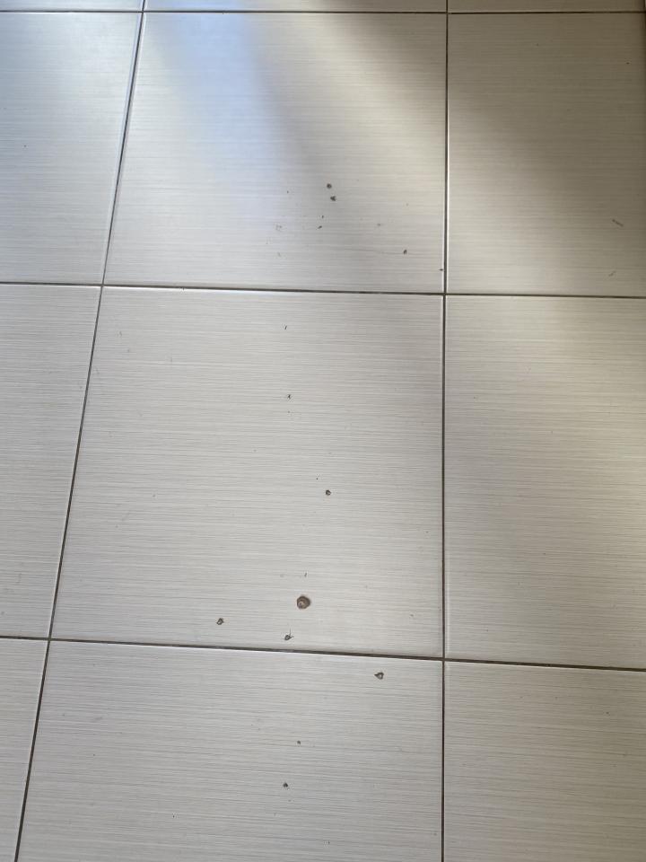 磁磚修補案件圖片