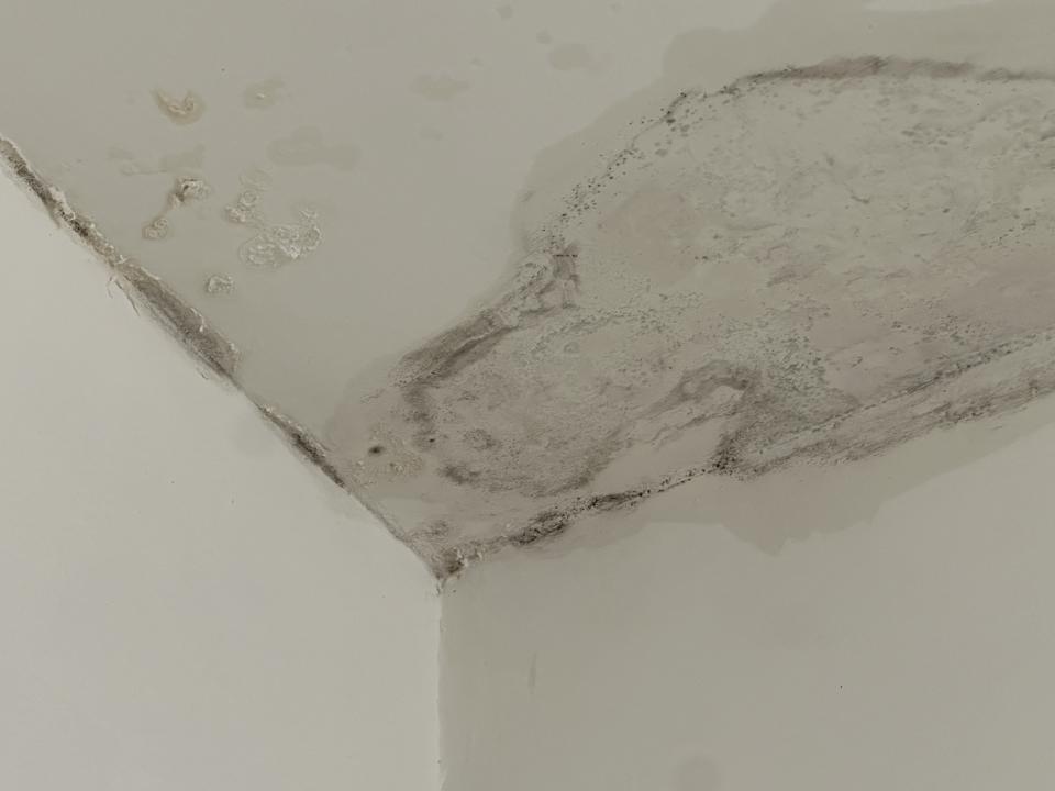 漏水處理案件圖片