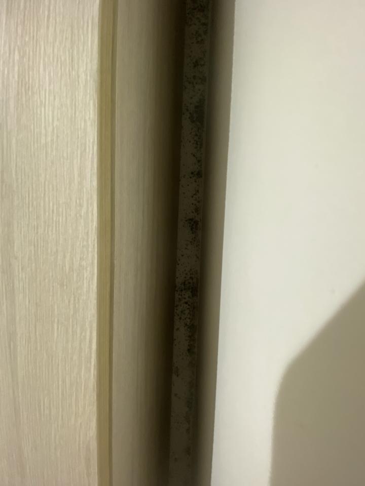 油漆工程案件圖片