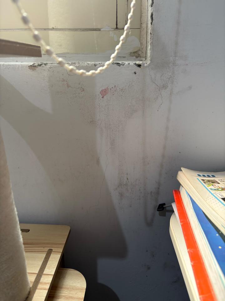 水電行案件圖片