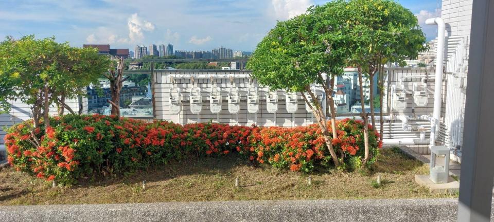 園藝維護案件圖片