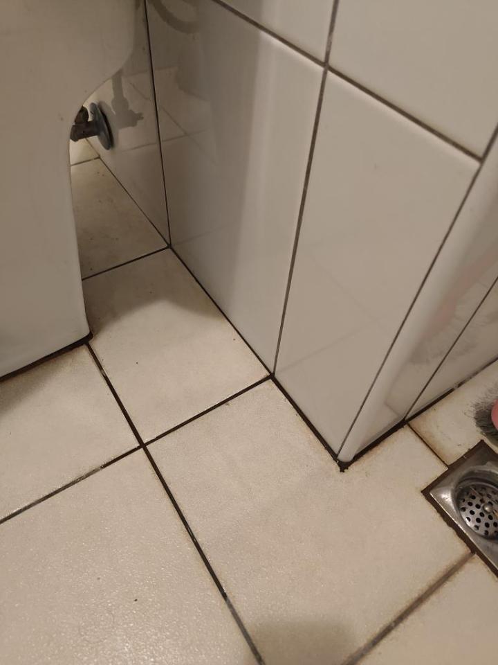 馬桶裝修案件圖片