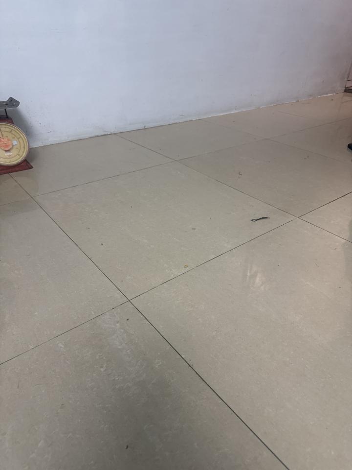 地板維修案件圖片