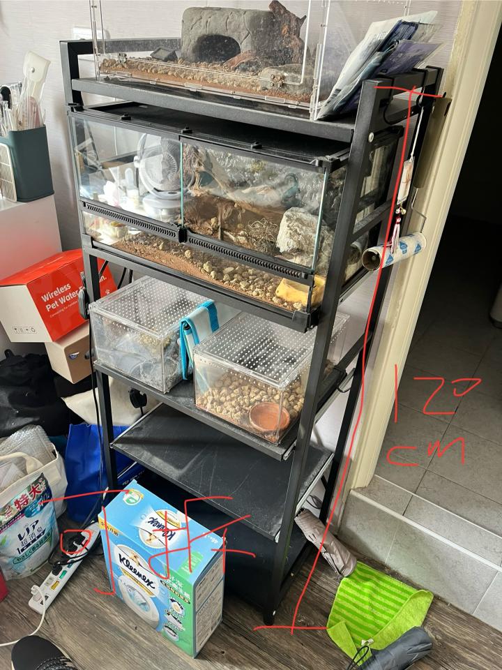 回頭車案件圖片