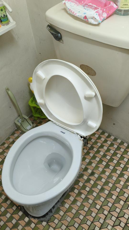 馬桶裝修案件圖片