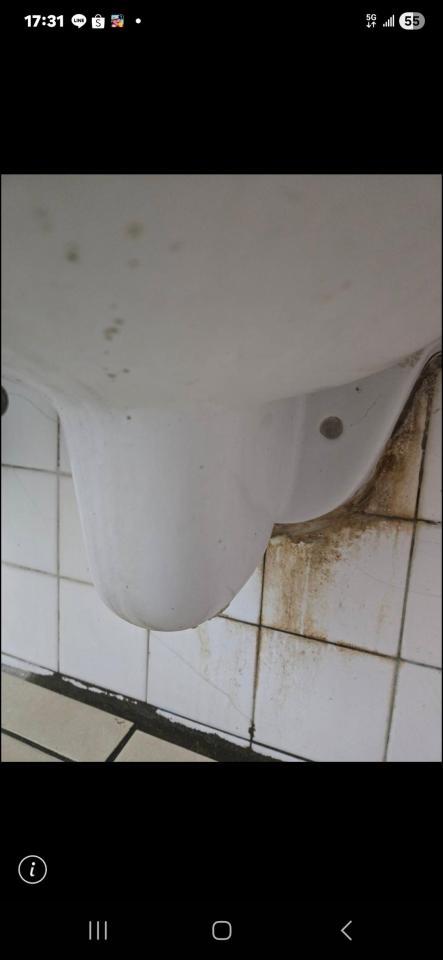 通馬桶案件圖片