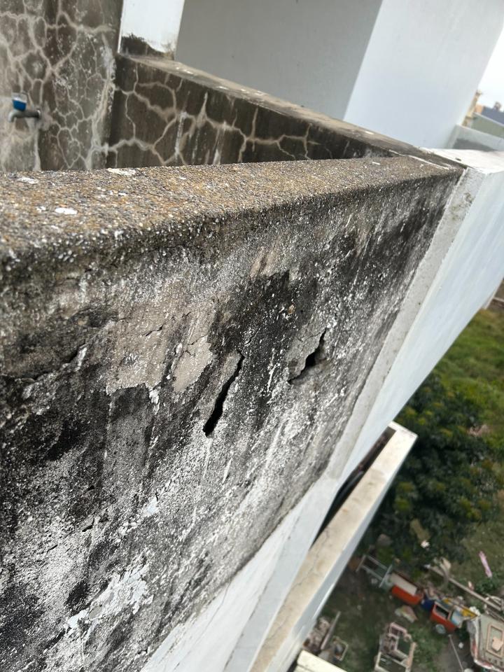 泥作/水泥施工案件圖片