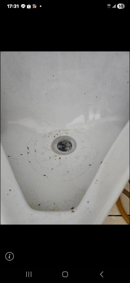 通馬桶案件圖片