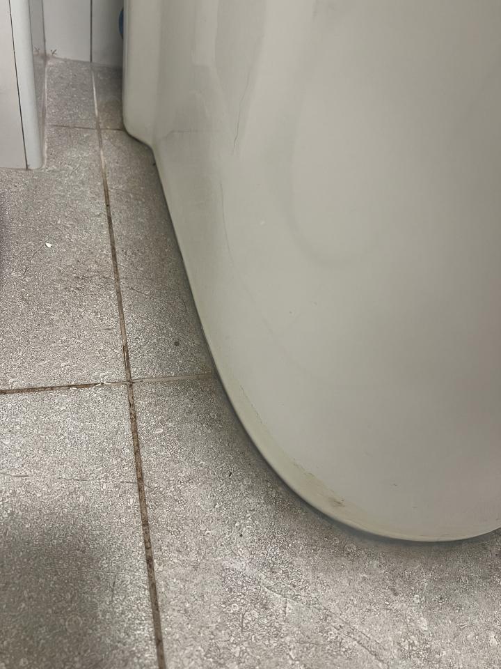 馬桶裝修案件圖片