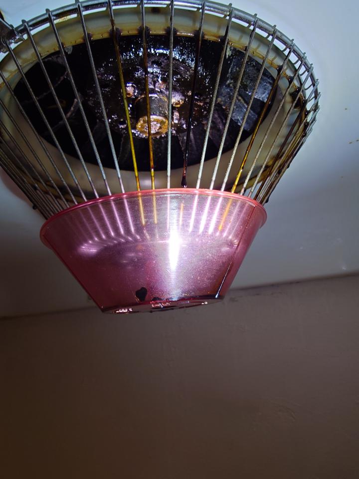 抽油煙機清洗案件圖片