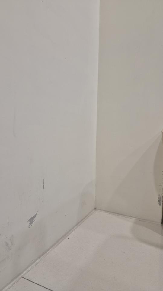 油漆工程案件圖片