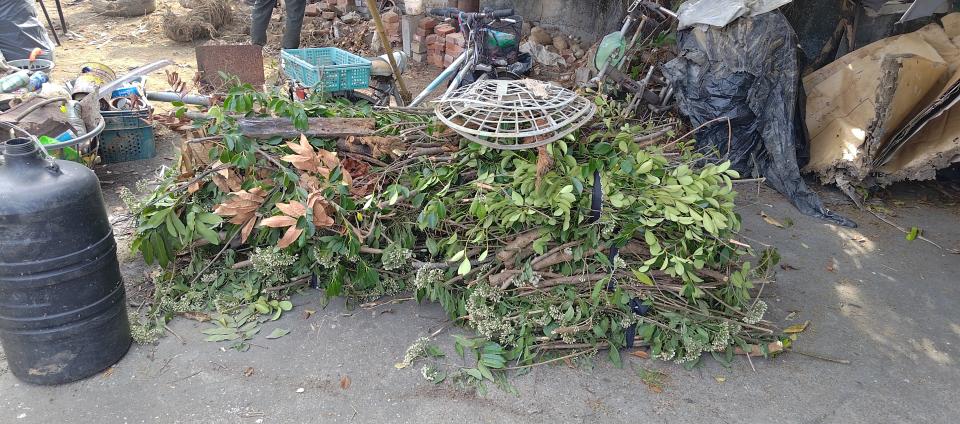 大型垃圾回收案件圖片