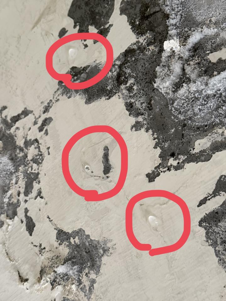 漏水處理案件圖片