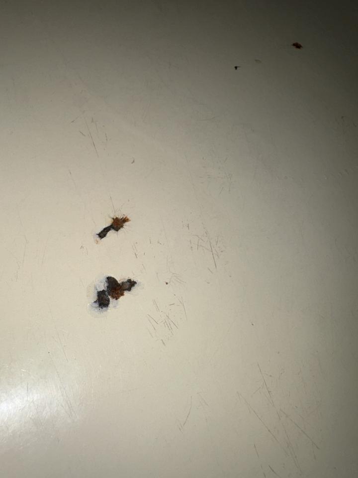 浴缸與淋浴裝修案件圖片