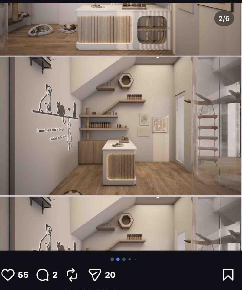 商業攝影案件圖片