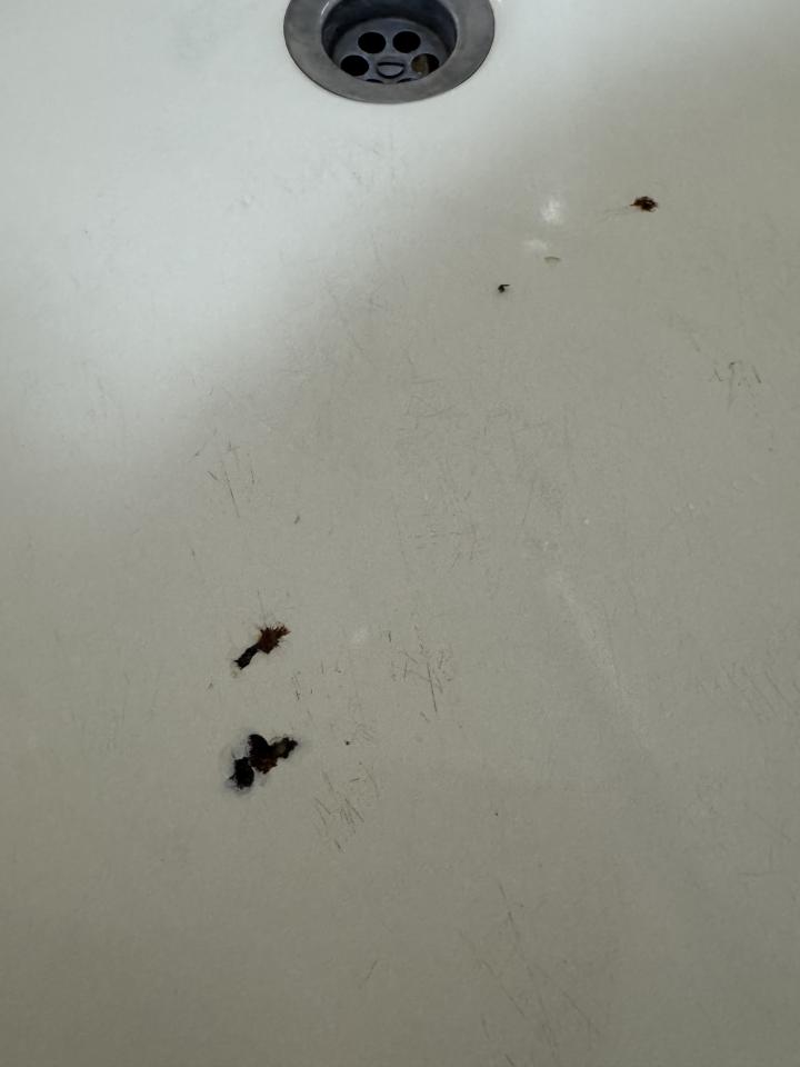 浴缸與淋浴裝修案件圖片