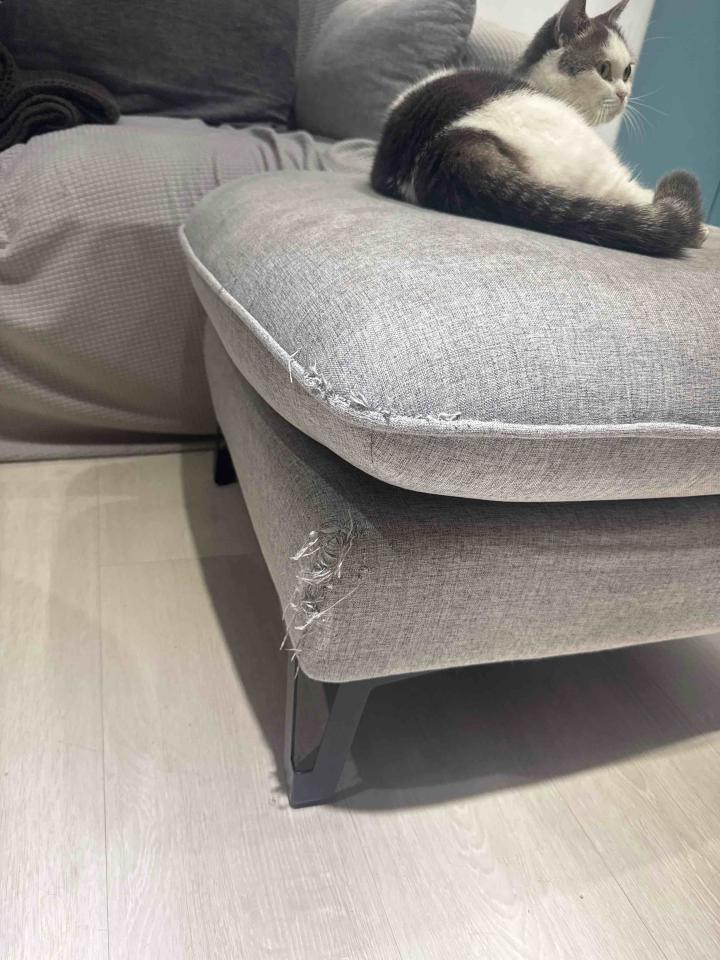 沙發修理案件圖片