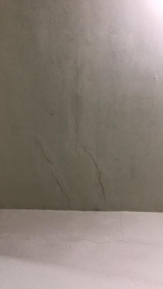 鋼筋外露處理案件圖片